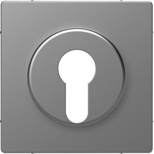 Накладка перекидного фіксатора полірована  SysD нержавної сталі