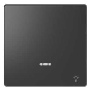 Накладка 1-клавішного вимикача з підсвіткою+"Св" SysD антрацит